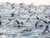 IRONMAN World Championship