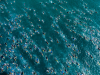 2022 IRONMAN World Championship