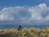 IRONMAN World Championship
