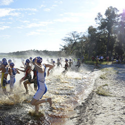 An at-capacity field competes in the second Women's Collegiate Triathlon National Championship in Clermont. (Karen Hunt/Florida Swim Network)